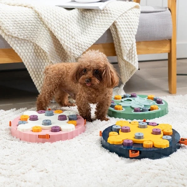 Pet Training Puzzle Toy