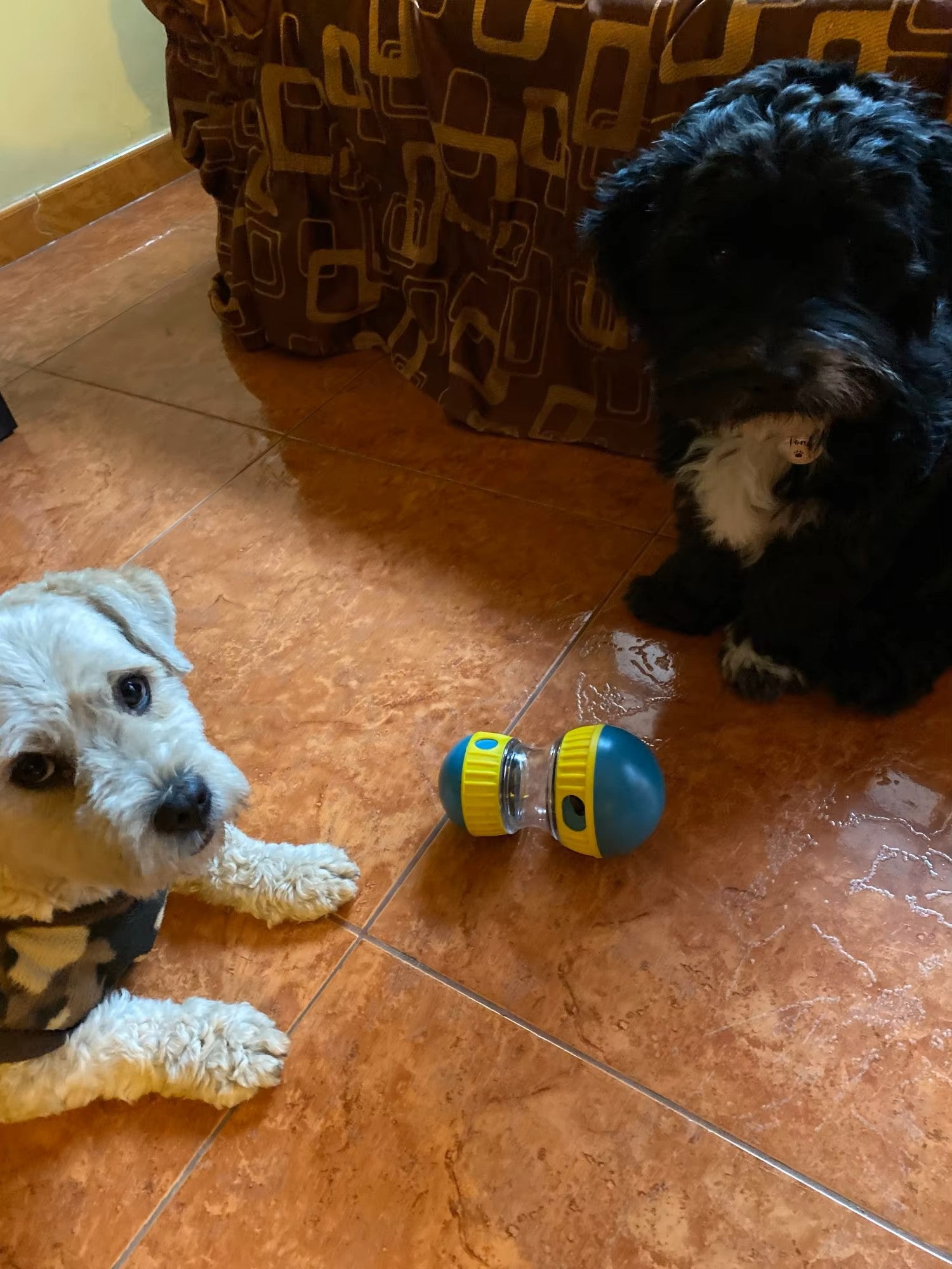 Interactive Treat Dispensing Toy