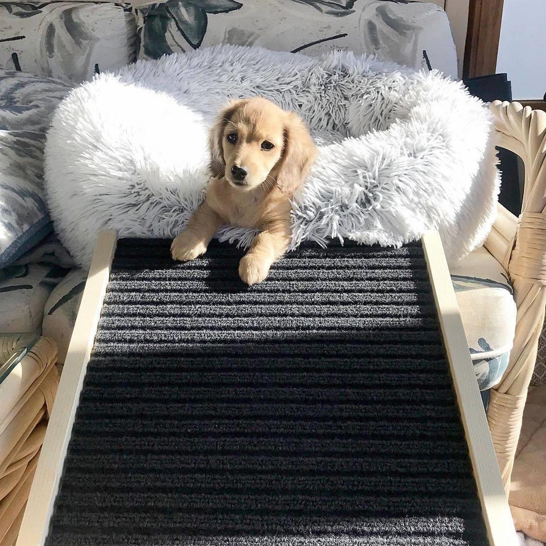 Orthopaedic Round Pet Bed