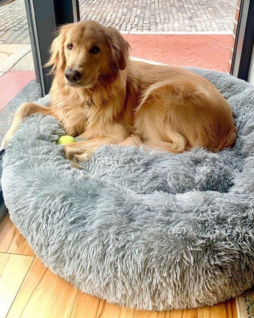 Orthopaedic Round Pet Bed