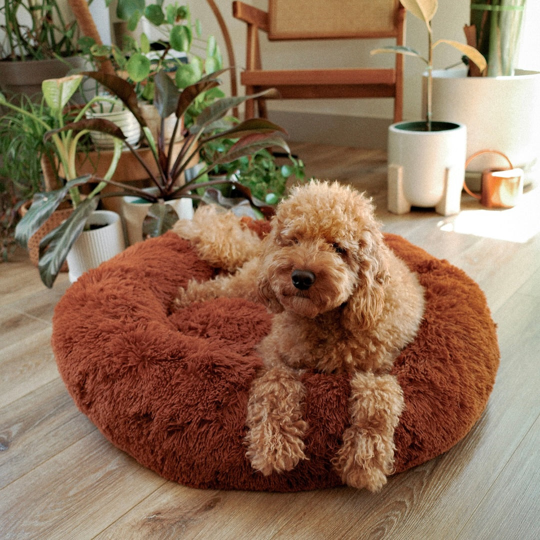 Orthopaedic Round Pet Bed