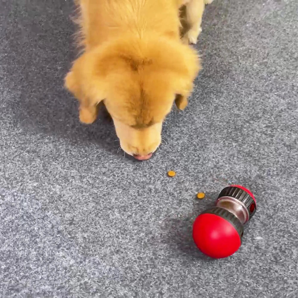 Interactive Treat Dispensing Toy