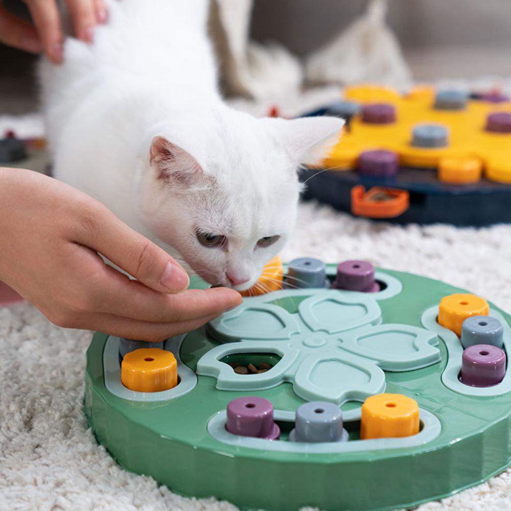 Pet Training Puzzle Toy