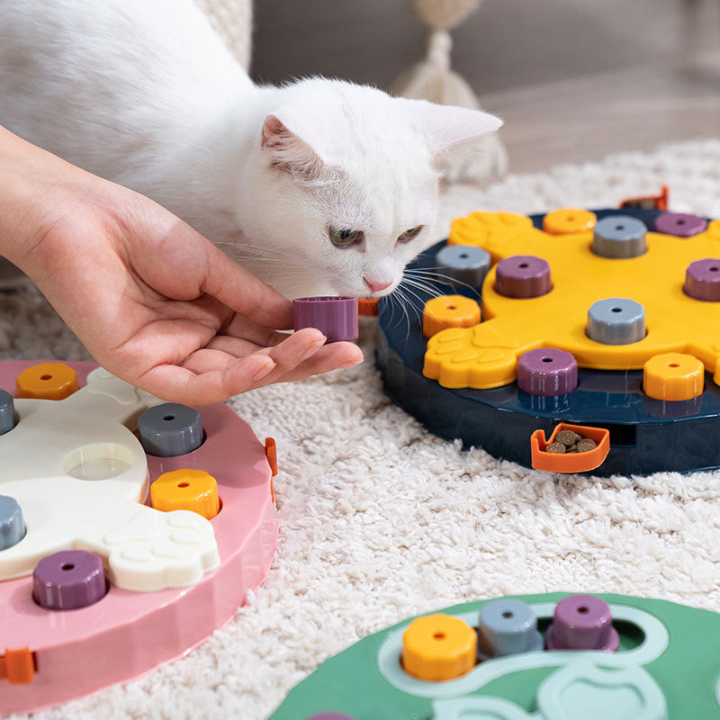 Pet Training Puzzle Toy