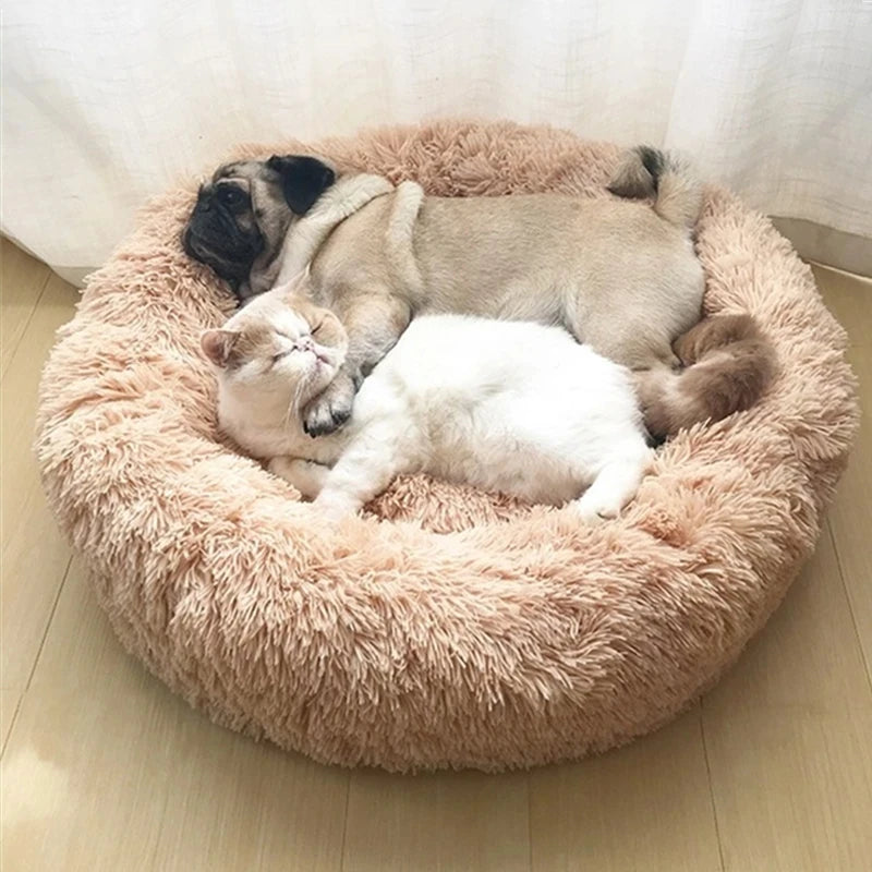 Orthopaedic Round Pet Bed